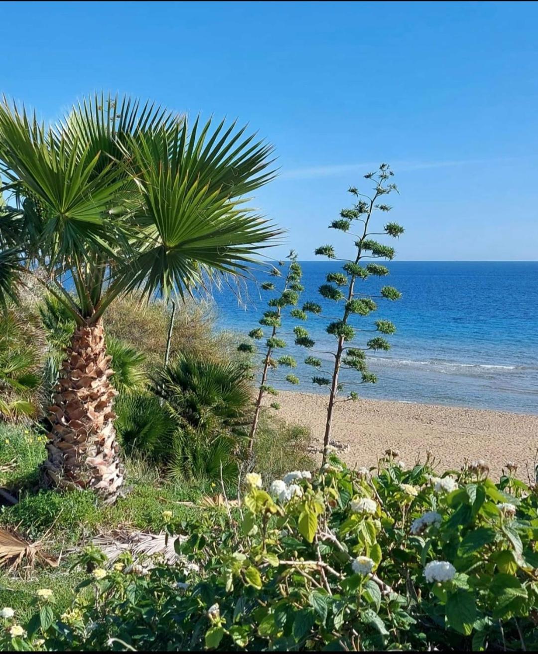 Villa Sul Mare Don Toto' Avola Exterior photo